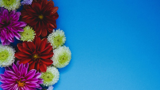 现增添了期 现增添了期