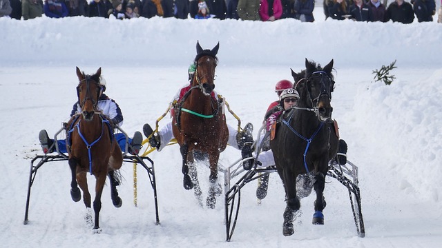 跑员带领一 跑员带领一