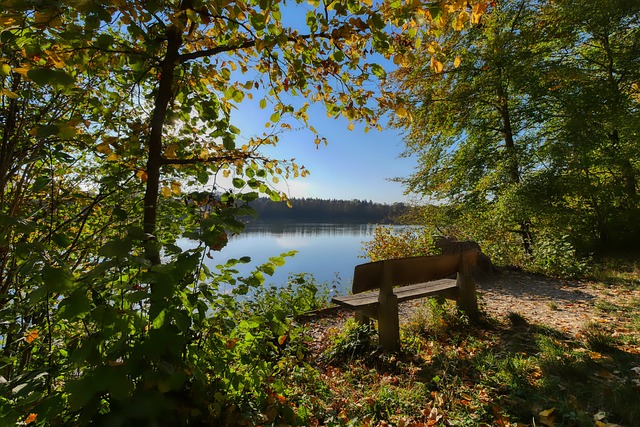 运动员本身 运动员本身
