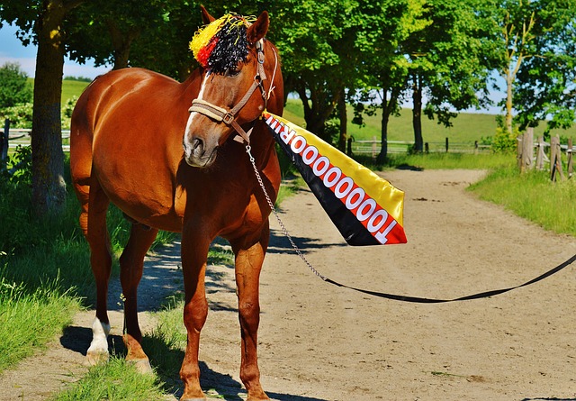 女性力量 女性力量
