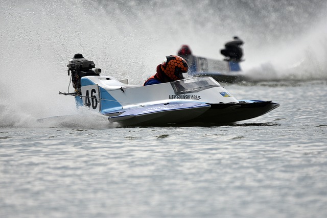 无疑为观众 无疑为观众