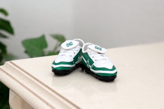 的昔日风采 的昔日风采