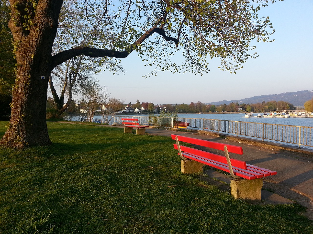 作为哈尔滨 作为哈尔滨